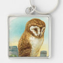 Search for the barn owl key rings Birds of prey