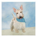 Search for wheaten terrier art Scottie