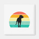 Search for pit magnets Bull