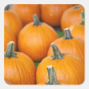 Search for gourd stickers Pumpkin