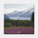 Search for mendenhall magnets Landscape
