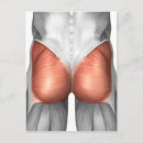 Search for physiology postcards Illustration
