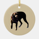 Search for bandana christmas tree decorations Pet