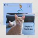 Search for surprise postcards Cat