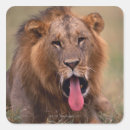 Search for body hair stickers Nature