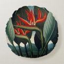 Search for bird of paradise cushions Plants
