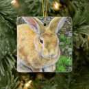Search for easter bunny christmas tree decorations Cute