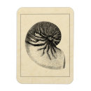 Search for vintage magnets Ocean