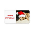 Search for golden retriever puppy return address labels Adorable