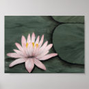 Search for zen buddhist posters Buddhism