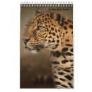 Search for leopard print office supplies Tiger