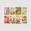 Search for seed tissue paper Vintage