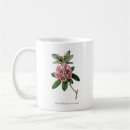 Search for rhododendron mugs Flower