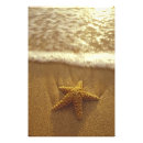 Search for echinoderm posters Beach