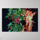 Search for chilli posters Pepper