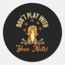 Search for squirrels stickers Inspiration