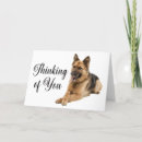 Search for german shephard cards Puppy