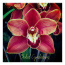 Search for orchids online art Flower