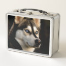 Search for husky lunch boxes Dogs
