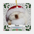 Search for cat in frame christmas tree decorations Kitten