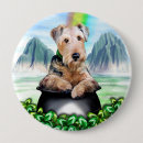 Search for pot of gold badges St patricks