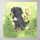 Search for labradoodle dog posters Dogs