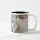 Search for mountain lion mugs Nature