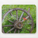 Search for wagon electronics Superstock