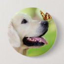 Search for butterfly dog badges Dogs