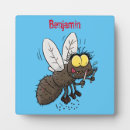 Search for insect plaques Cartoon