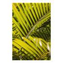 Search for mauritius posters Green