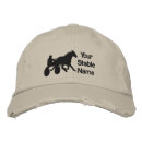 Search for stable hats Western