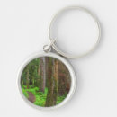 Search for old growth forest accessories Fern