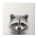 Search for raccoon tiles Animal