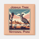 Search for cactus magnets California