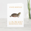 Search for painted turtle cards Reptile