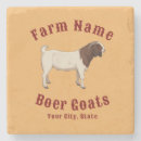 Search for boer goat Boer goats