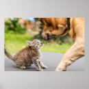 Search for getty posters Dog