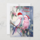 Search for galahs postcards Animals