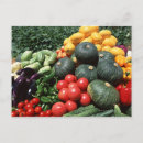 Search for organism postcards Freshness