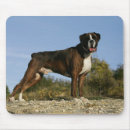 Search for boxer dog mousepads Standing