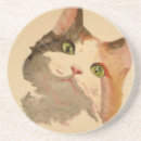 Search for calico cat coasters Kitten