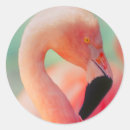 Search for necked stickers Exotic