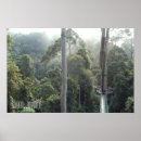 Search for borneo posters Rainforest