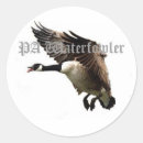 Search for waterfowl stickers Goose