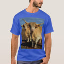 Search for shaggy tshirts Cow