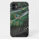 Search for plumage cases Birds