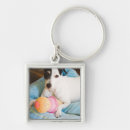 Search for jack russell terrier key rings Indoors