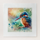 Search for kingfisher puzzles Wildlife