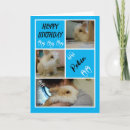 Search for bunny birthday cards Modern